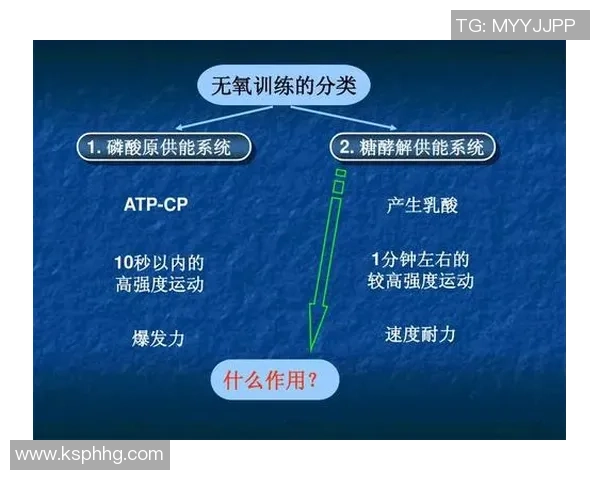 武汉羽毛球队耐力训练的秘密与挑战探讨