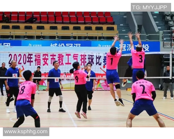 权威发布：排球耐力实力榜单